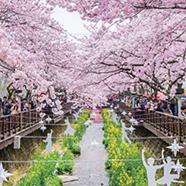 두근두근 내일여행