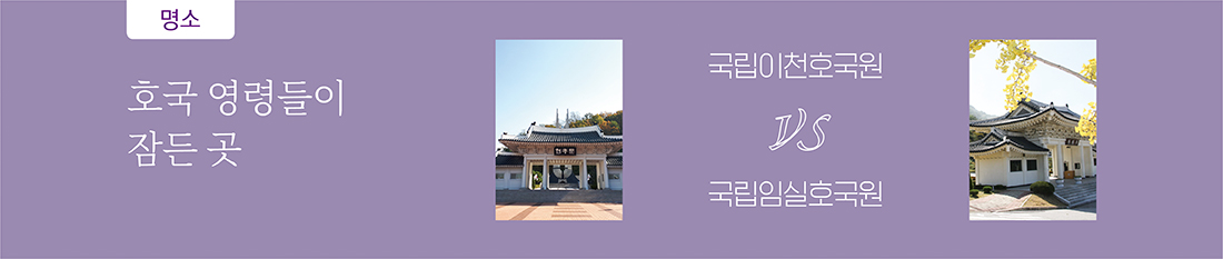 서브타이틀이미지 꽃피우다