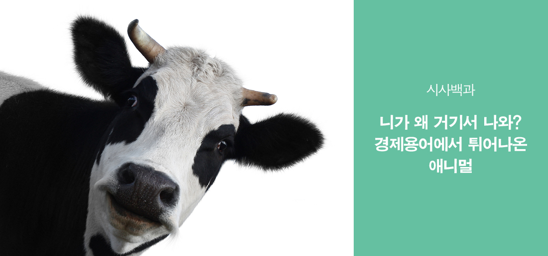 서브타이틀이미지 꽃씨 심다