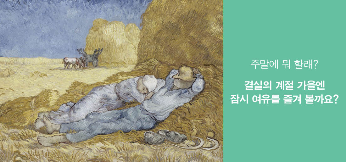 서브타이틀이미지 꽃씨 심다