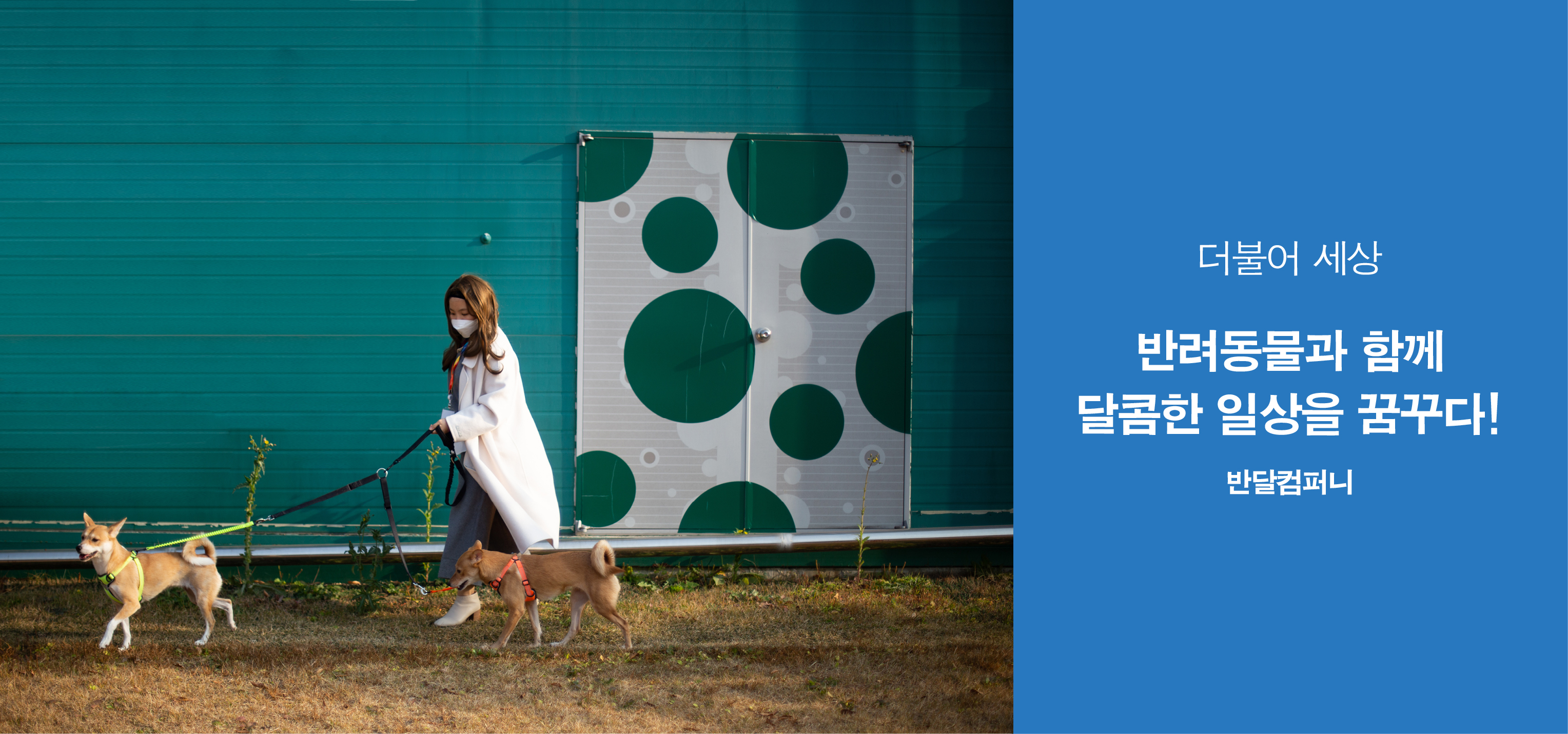 서브타이틀이미지 꽃씨 심다