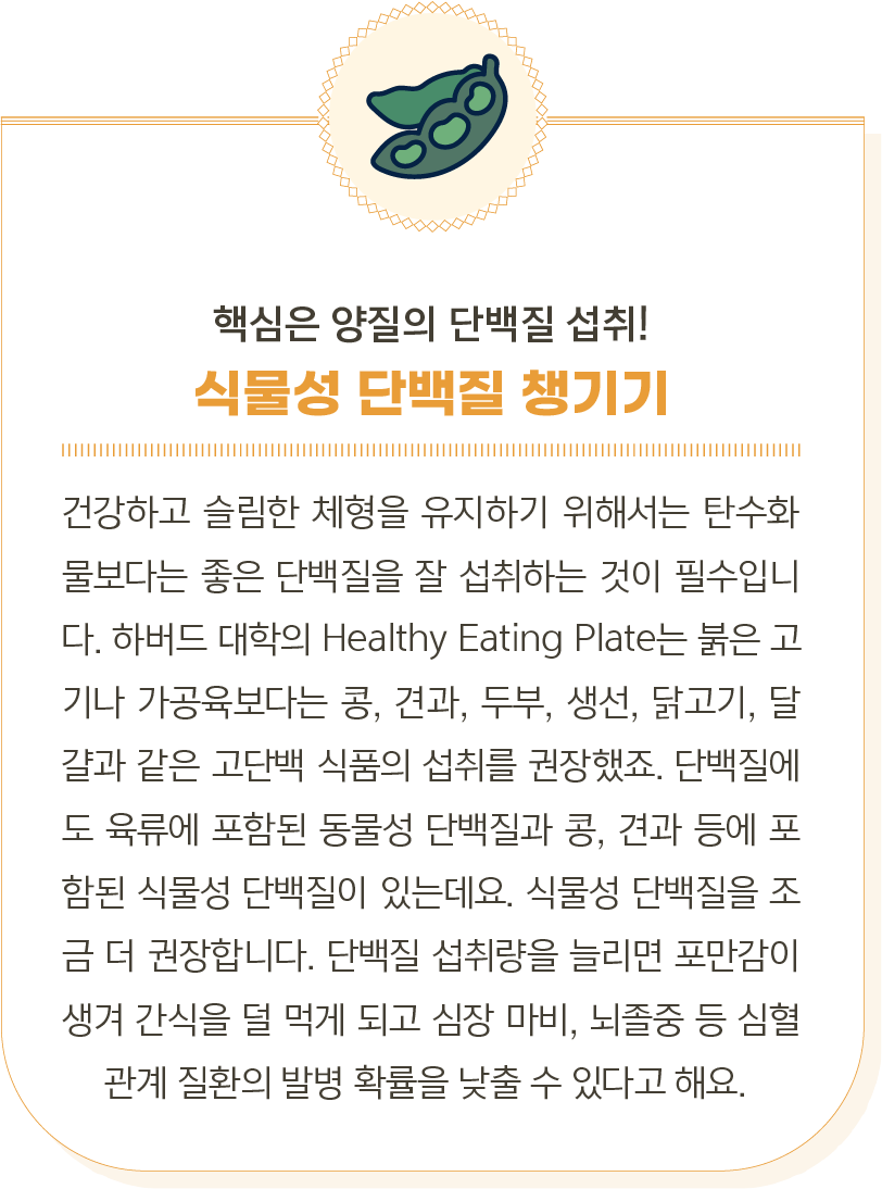 
                            핵심은 양질의 단백질 섭취!
식물성 단백질 챙기기
건강하고 슬림한 체형을 유지하기 위해서는 탄수화물보다는 좋은 단백질을 잘 섭취하는 것이 필수입니다. 하버드 대학의 Healthy Eating Plate는 붉은 고기나 가공육보다는 콩, 견과, 두부, 생선, 닭고기, 달걀과 같은 고단백 식품의 섭취를 권장했죠. 단백질에도 육류에 포함된 동물성 단백질과 콩, 견과 등에 포함된 식물성 단백질이 있는데요. 식물성 단백질을 조금 더 권장합니다. 단백질 섭취량을 늘리면 포만감이 생겨 간식을 덜 먹게 되고 심장 마비, 뇌졸중 등 심혈관계 질환의 발병 확률을 낮출 수 있다고 해요.

                            